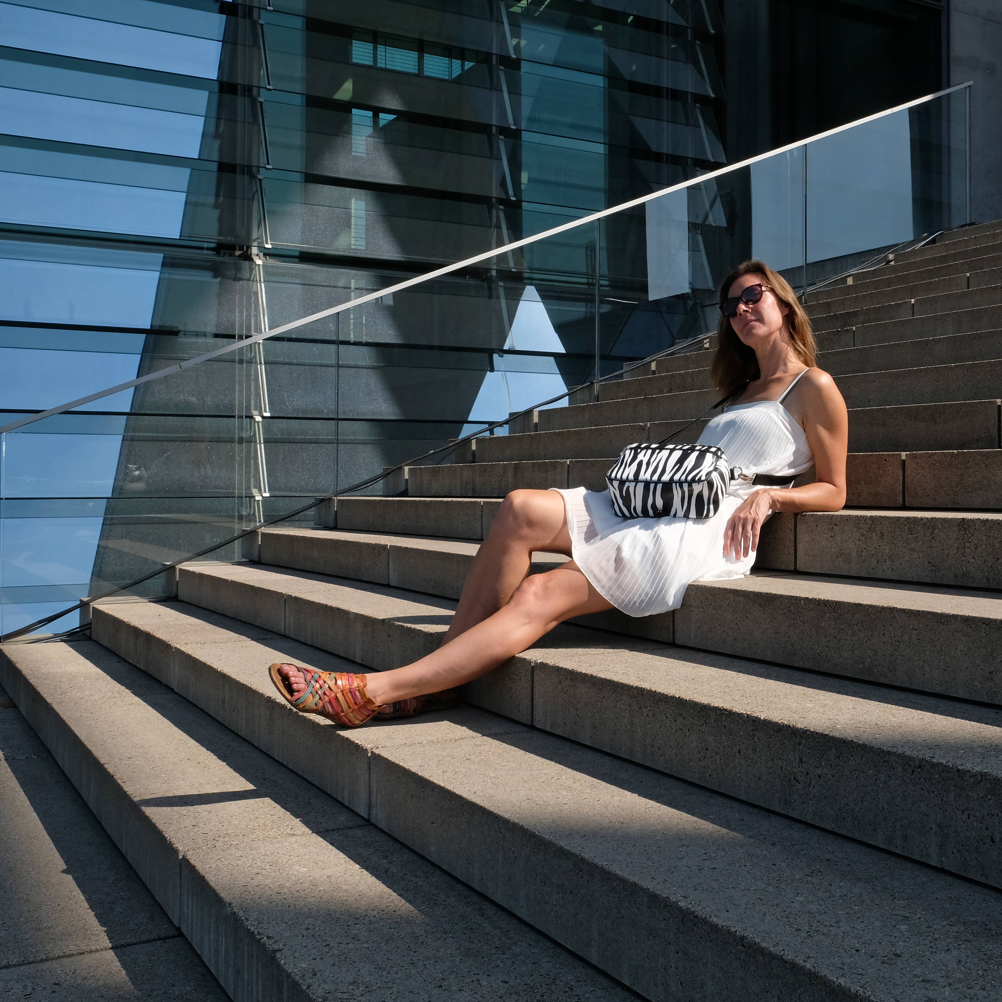 Ikuri - Vendita all'ingrosso Accessori per ciclisti - Borsa da manubrio - piccola borsa per bicicletta da manubrio - Zebra6