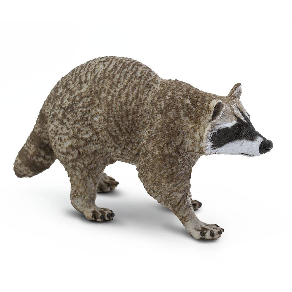 Safari Ltd. - Wholesale Decorative Figurine - Raccoon - 2230292