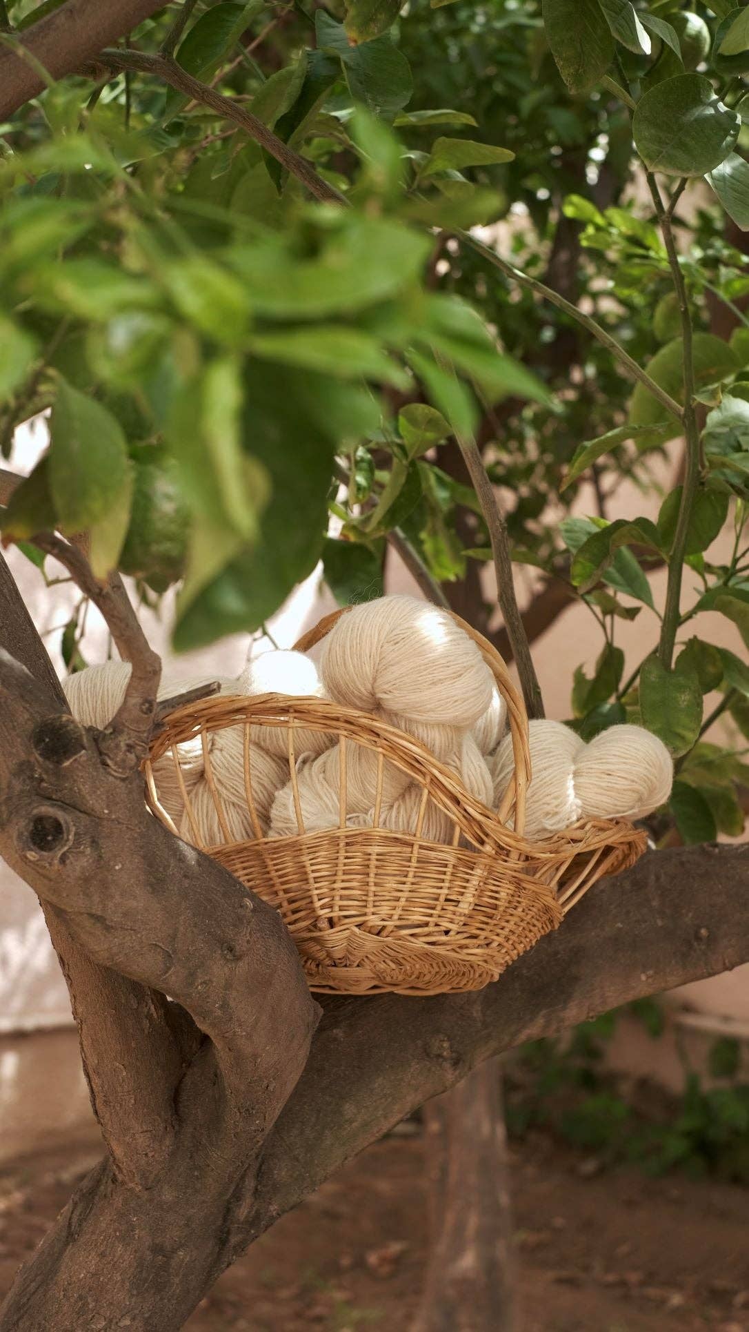 TŪNIQ - Wholesale Yarn - Hand-Spun Wool Threads - Undyed Cream4