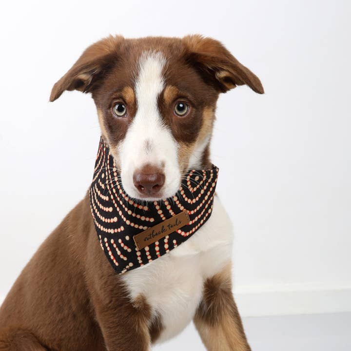 Outback Tails - Vente Bandana – chien - Bandana pour chien « Fire Country Dreaming »1