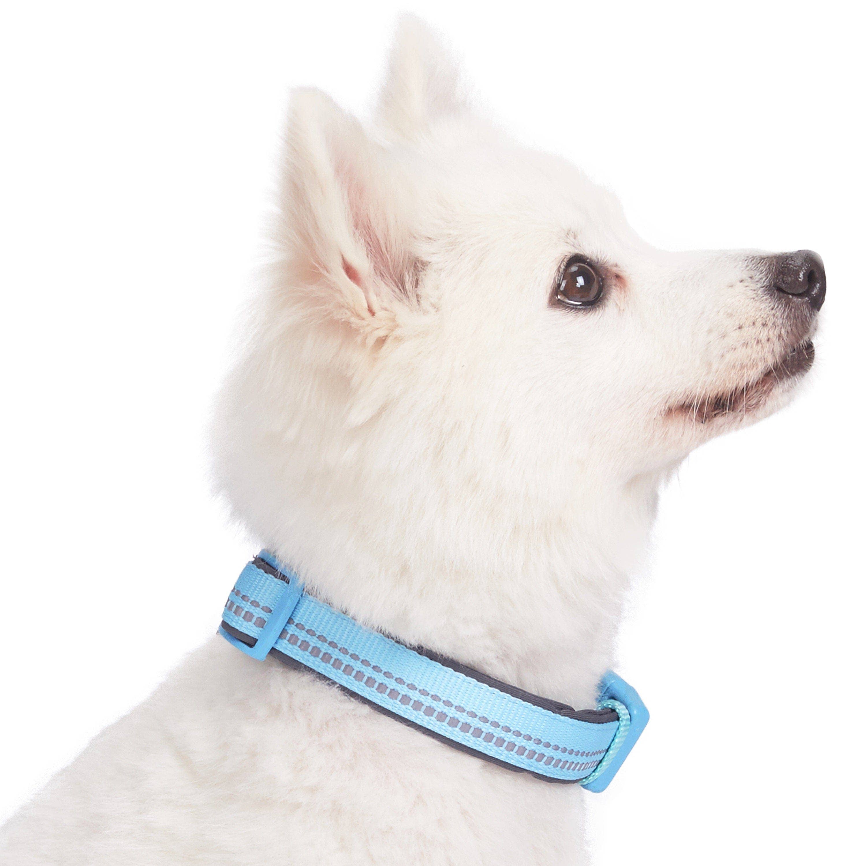 Blueberry Pet - Vente Collier – chien - Collier de sécurité rembourré en néoprène souple réfléchissant 3M46