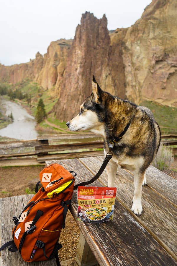 Wild Zora - Wholesale Shelf Stable Prepared Meal - Caldera Chicken Curry Meal6