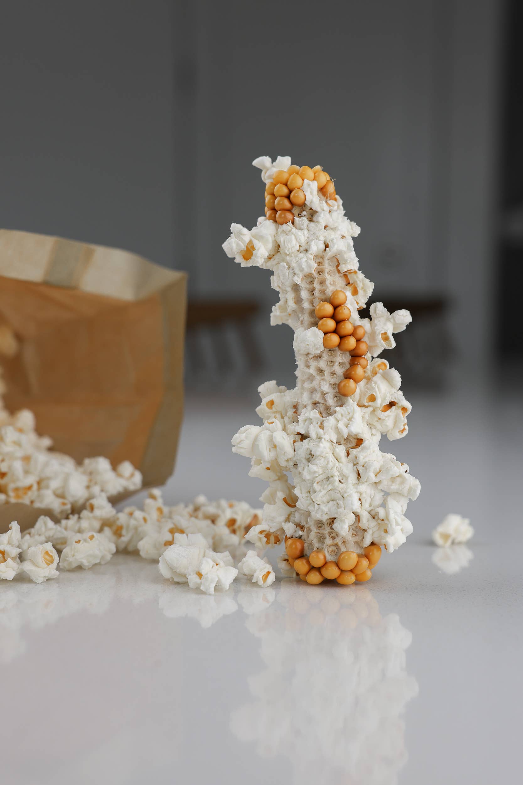 Amish Country Popcorn - Wholesale Popcorn - Twin Microwave Popcorn Cobs2