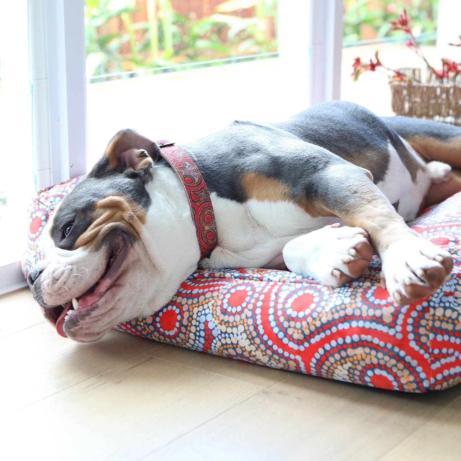 Outback Tails - Wholesale Bed voor huisdieren - Hond - Rechthoekig therapeutisch hondenbed – Snake Dreaming5