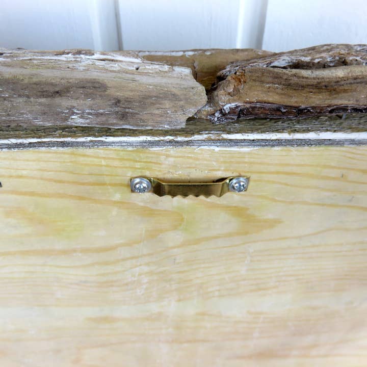 FEATHER KAN GMBH - Wholesale Dimensionele/3D-muurkunst - Mosdecoratie voor aan de muur - kunstplanten en natuurlijke materialen6