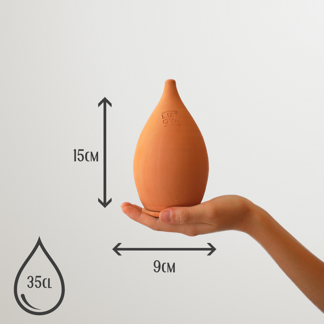 LUTOYA CREATIV - Wholesale Watering Can - Olla self watering pot - Lutoya Medium Original  - 35 cl8