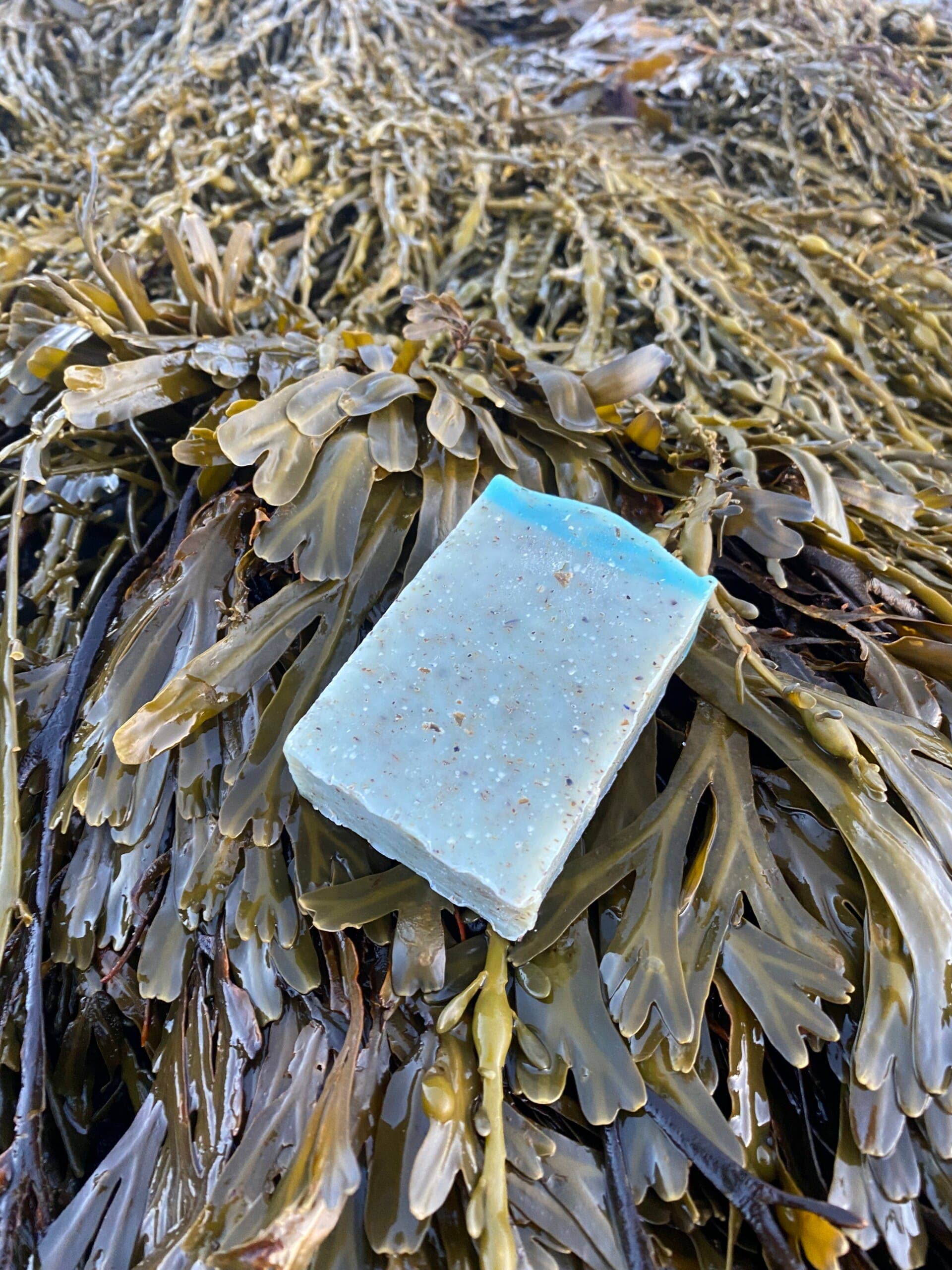 Lofoten Seaweed - Wholesale Bar Soap - Seaweed Soap1