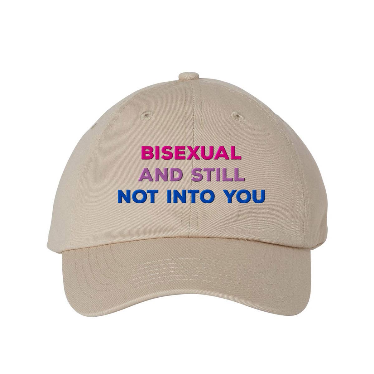 Lucky Luna Apparel - Wholesale Baseball Cap - Women's - Bisexual and Still Not Into You Embroidered Dad Hat1