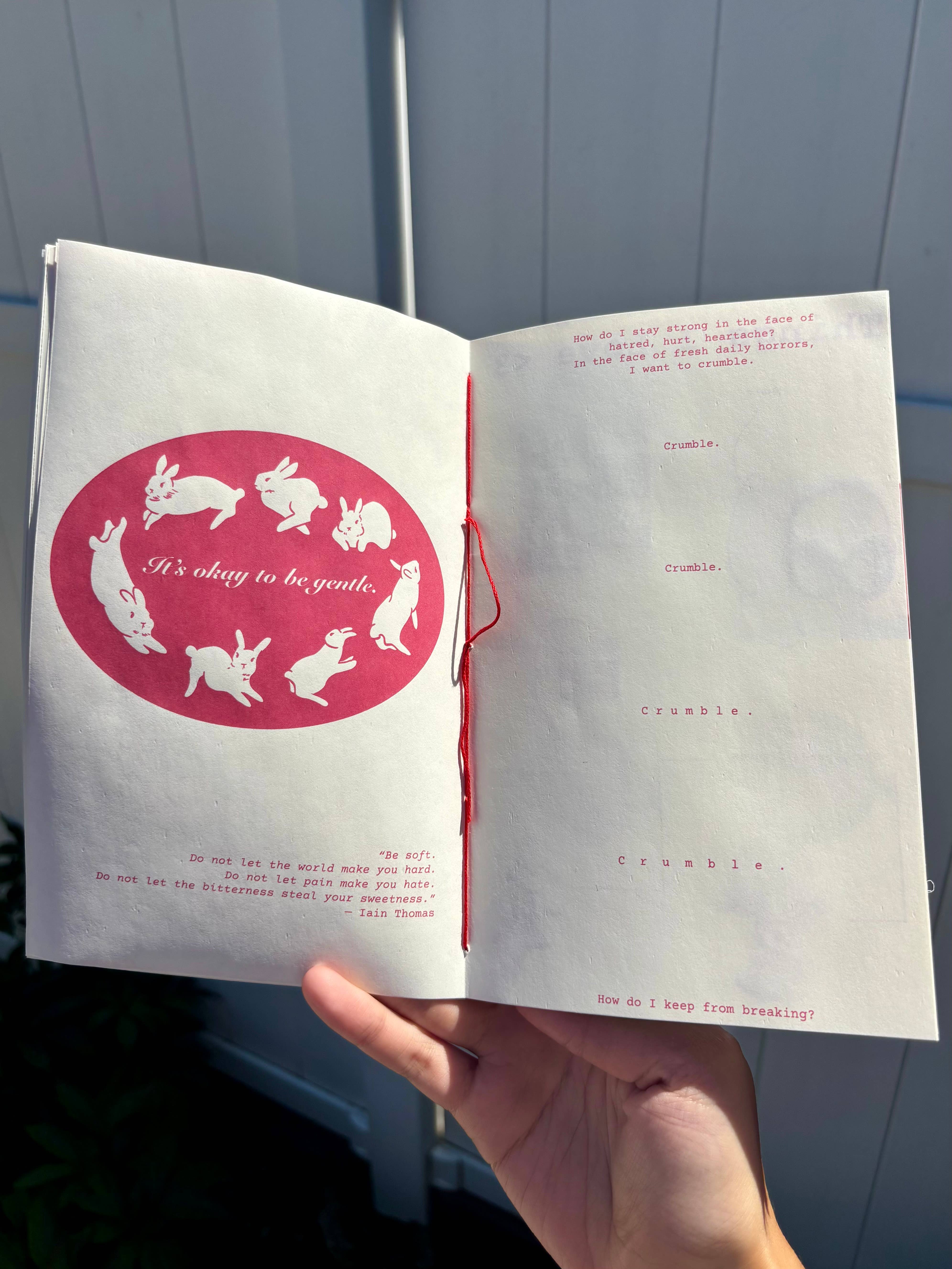 UNFOLDZinesandArt – Großhandel Zeitschrift – Noch irgendwo weich - Pergament Halbseitiges Zine, Coquette2