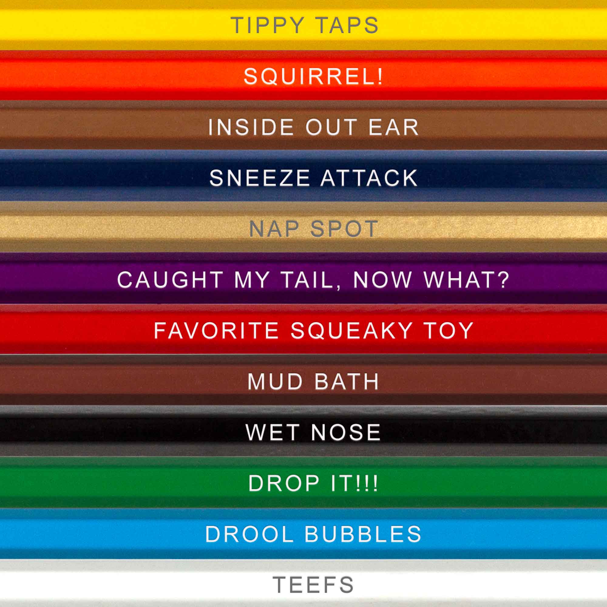 Pop Colors Colored Pencils and Coloring Sheets – wholesale Painting/drawing – Canine Colors Colored Pencil Set for Dog Lovers1