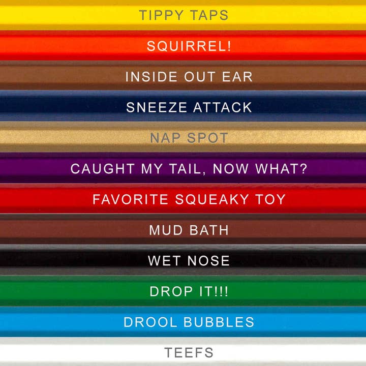 Pop Colors Colored Pencils and Coloring Sheets – wholesale Painting/drawing – Canine Colors Colored Pencil Set for Dog Lovers1