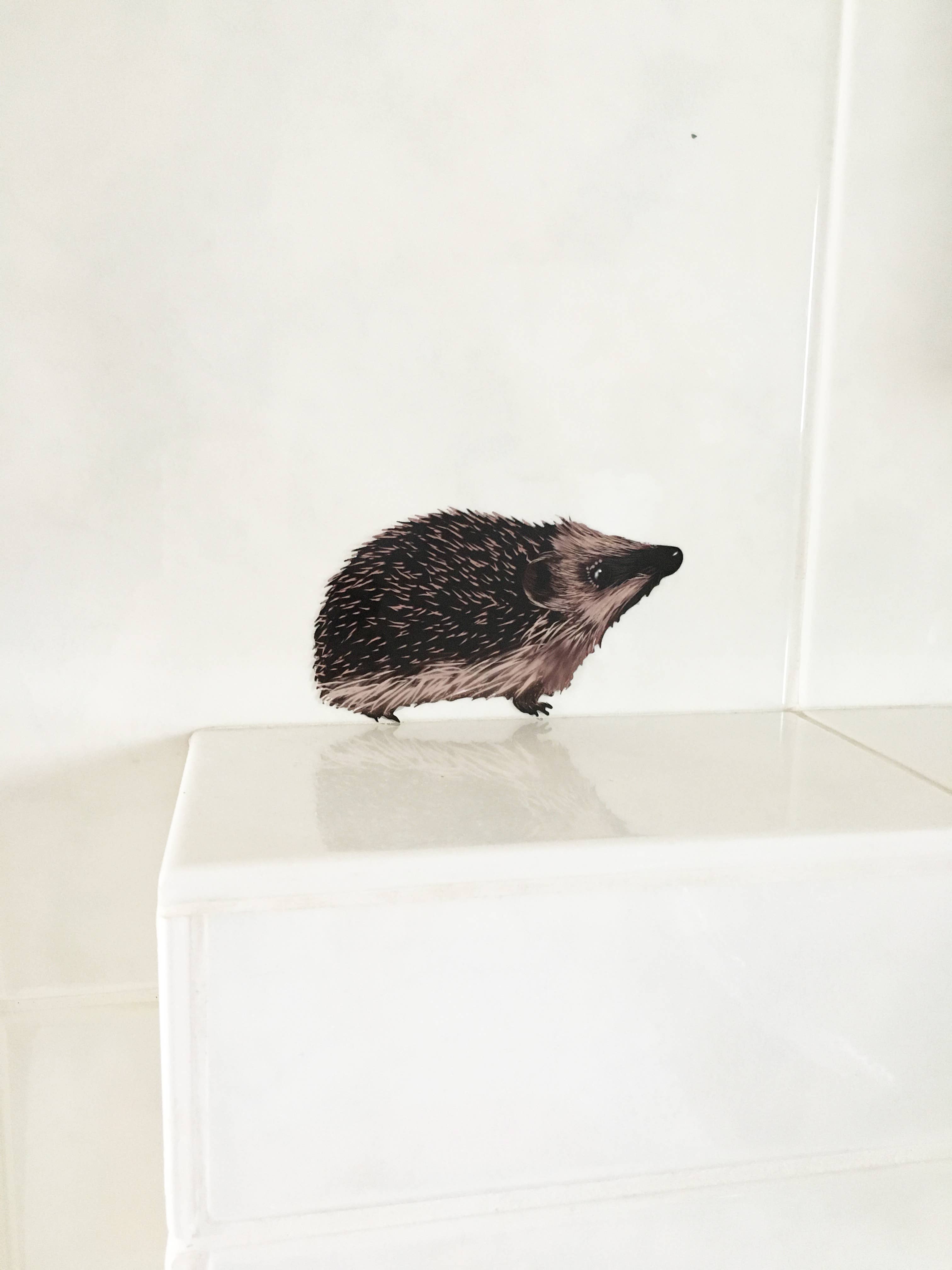 MYRTE – Großhandel Wandtattoo/-sticker – Igel Wandtattoo mit 3 Illustrationen von MYRTE6