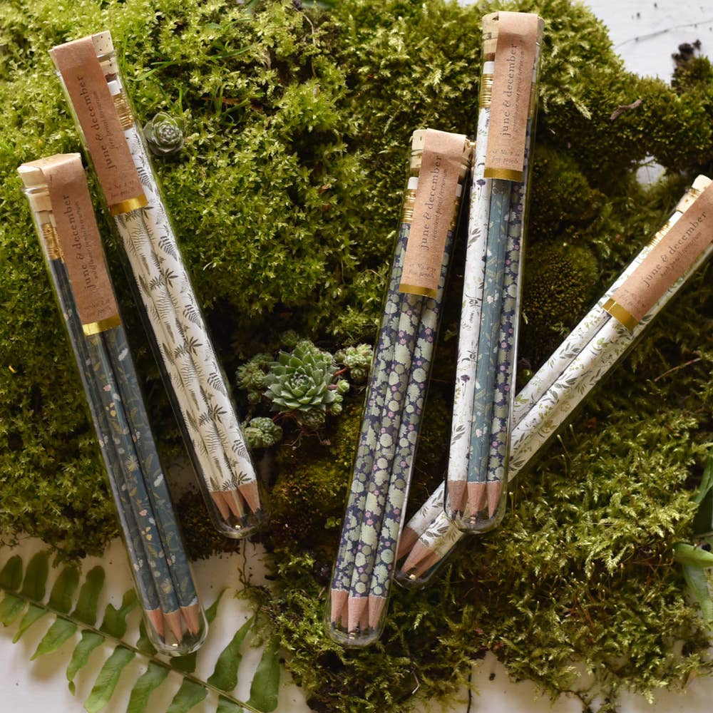 June & December - Wholesale Pencil - Garden Mix Pencil Terrarium, Set of 5 Pencils2
