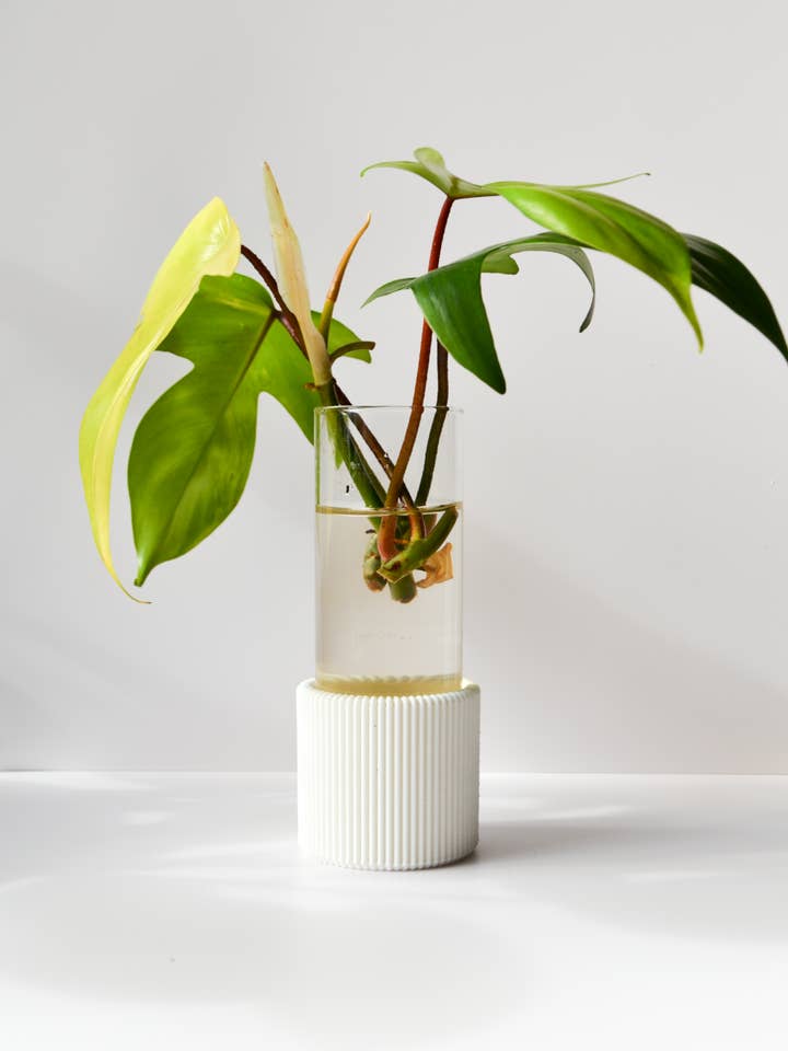 Vaso de Planta / Flor de Propagação Minimalista Japandi por atacado de LindaMakess