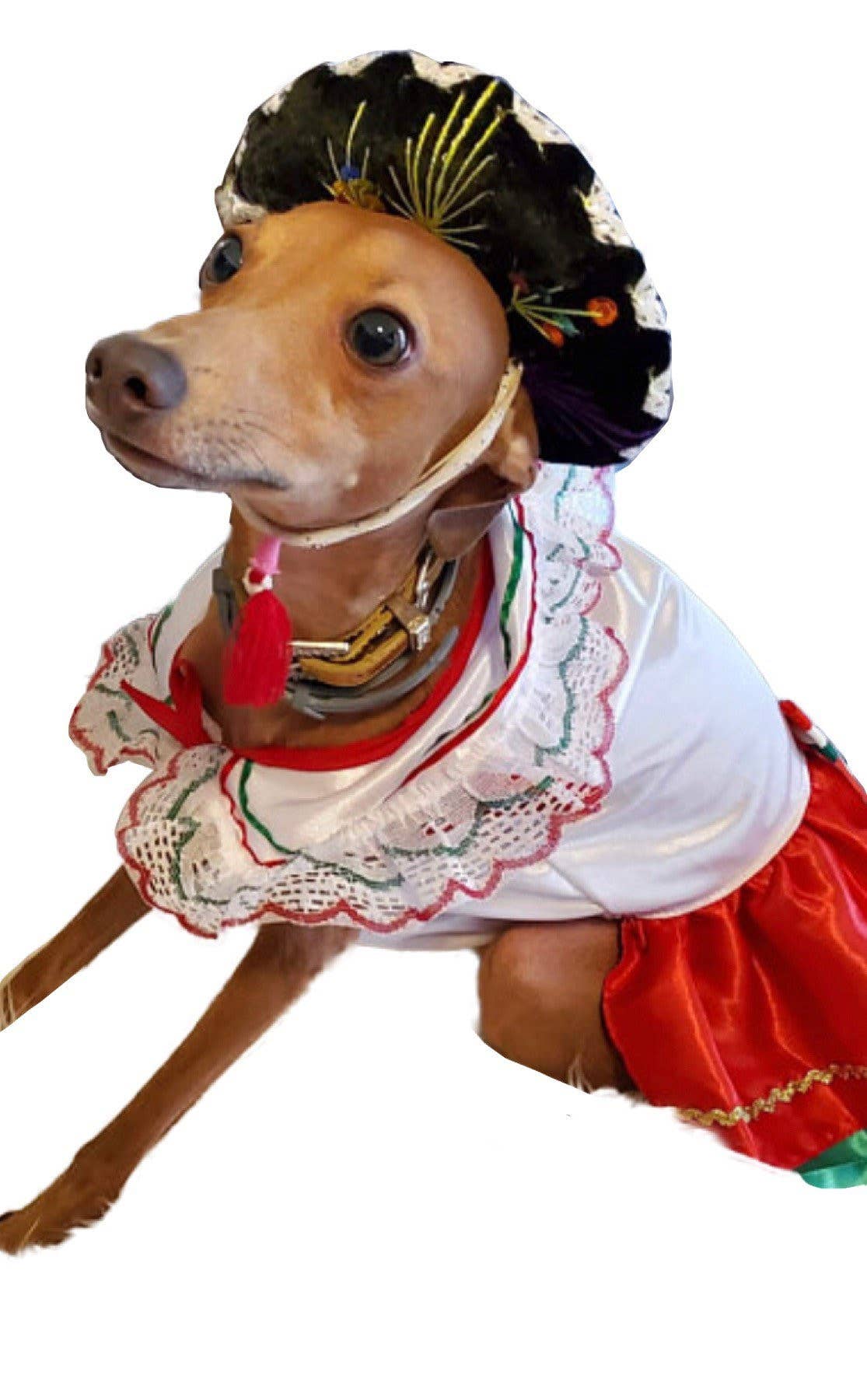 Gueyita Mexicana - Vente Déguisement – chien - Costume de chien pour fille Poblana de la Chine/Costume de chien mexicain pour fille6