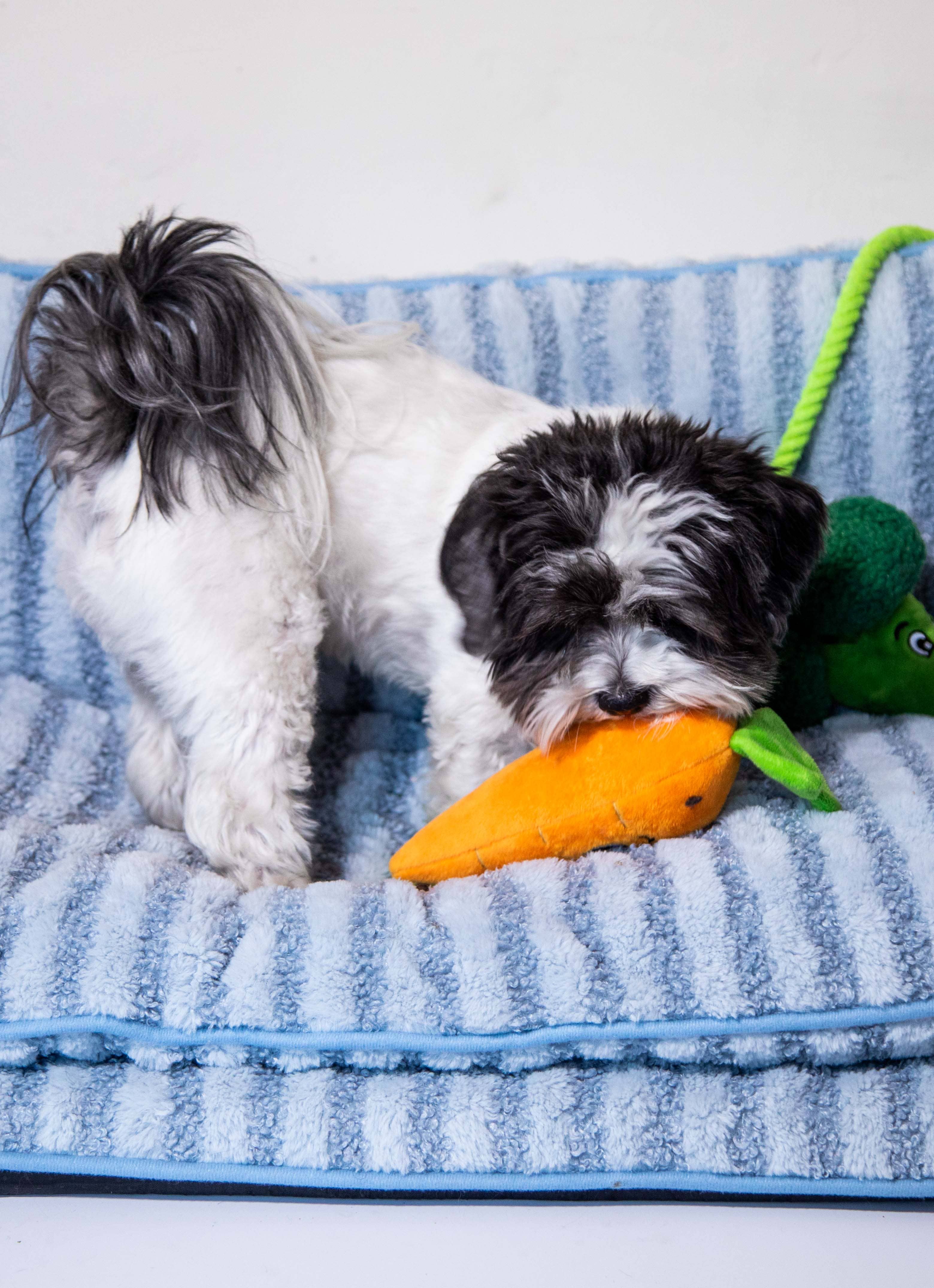 Glow Pups – cama - Cão por atacado – Cama para cachorro estilo sofá listrado azul claro de luxo2