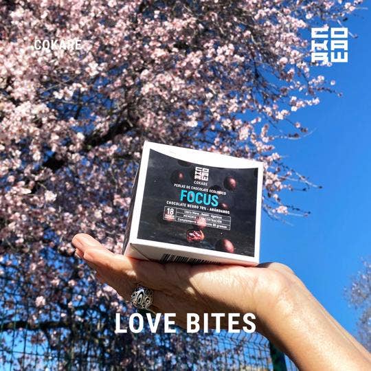 COKARE Conscious care - Wholesale Chocolate Bar - Focus Chocolate Bites with Lions Mane2