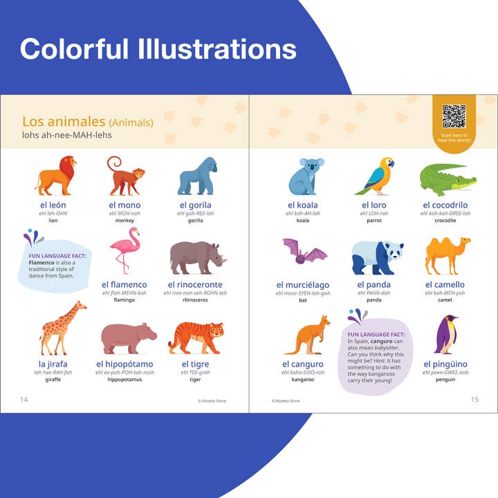 Carson Dellosa Education - Wholesale Reference - Rosetta Stone Spanish Picture Dictionary3