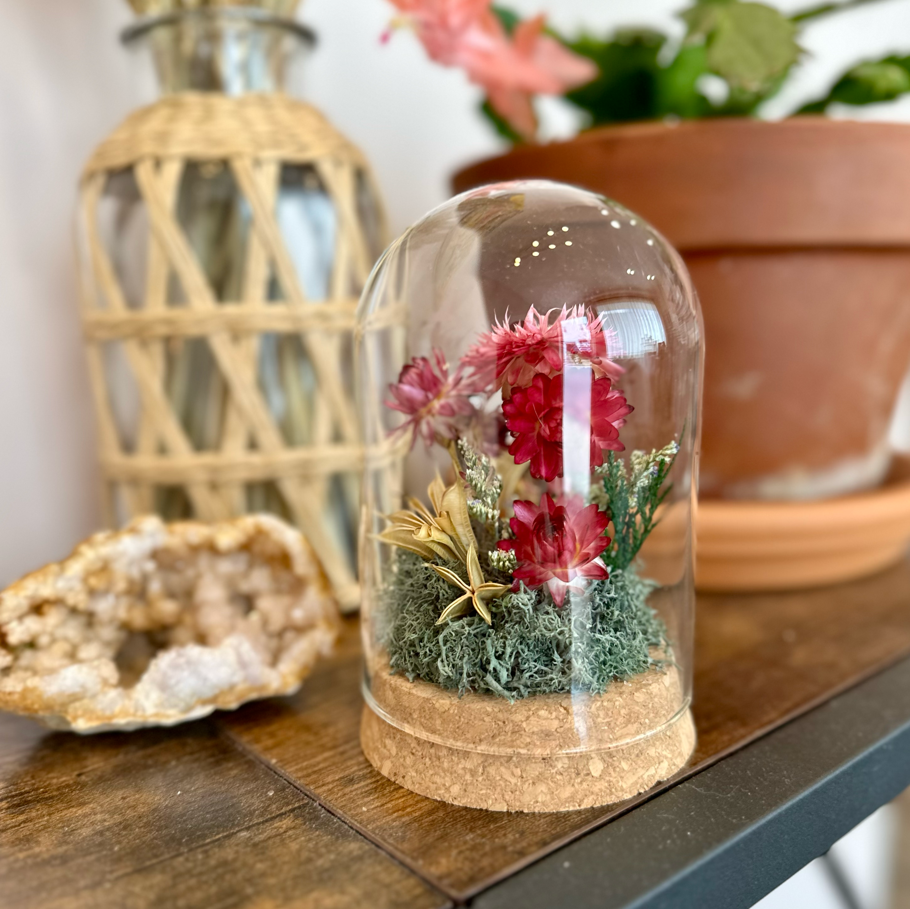 CA Studios - Wholesale Terrarium - Large Botanical Glass Terrarium Jar w. Pink Dried Florals3