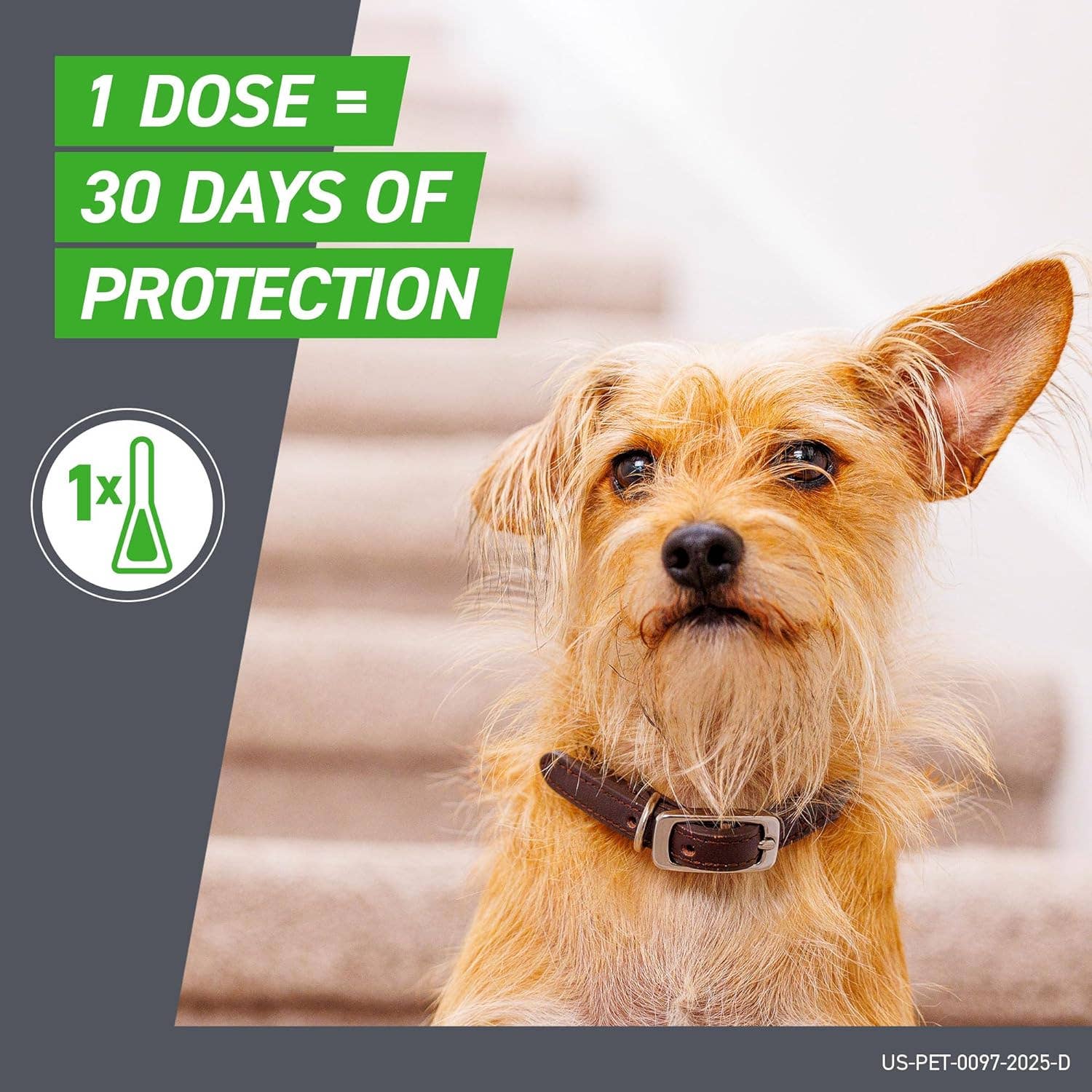 MEHIAZ – wholesale Loppa-/fästingsspray – FRONTLINE snabbeverkan loppor och fästingbehandling för stora hundar4