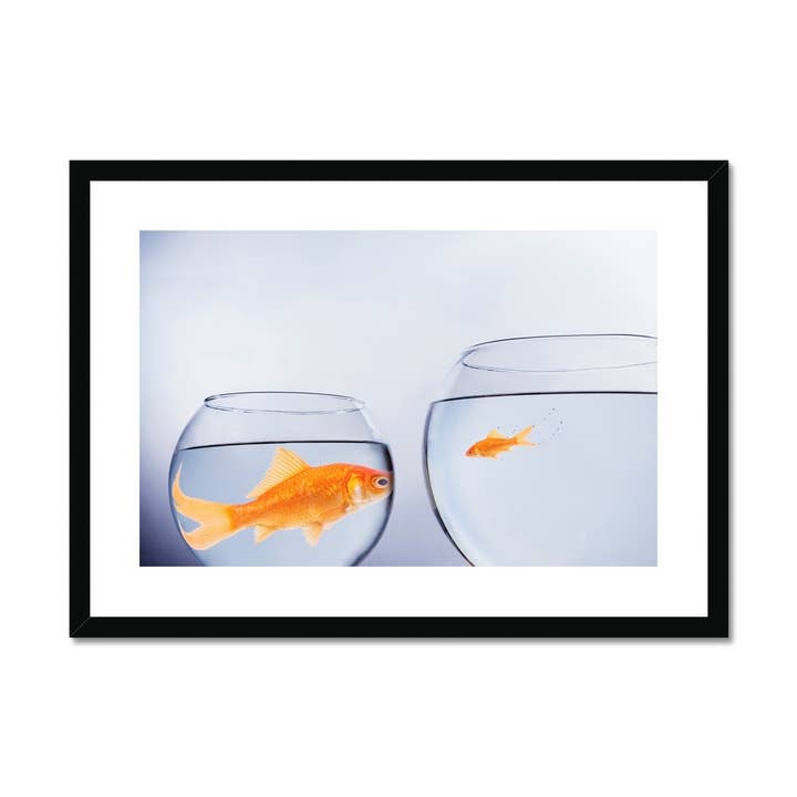 Big fish small fish Stampa incorniciata e montata per la vendita all'ingrosso da parte di Sorbey