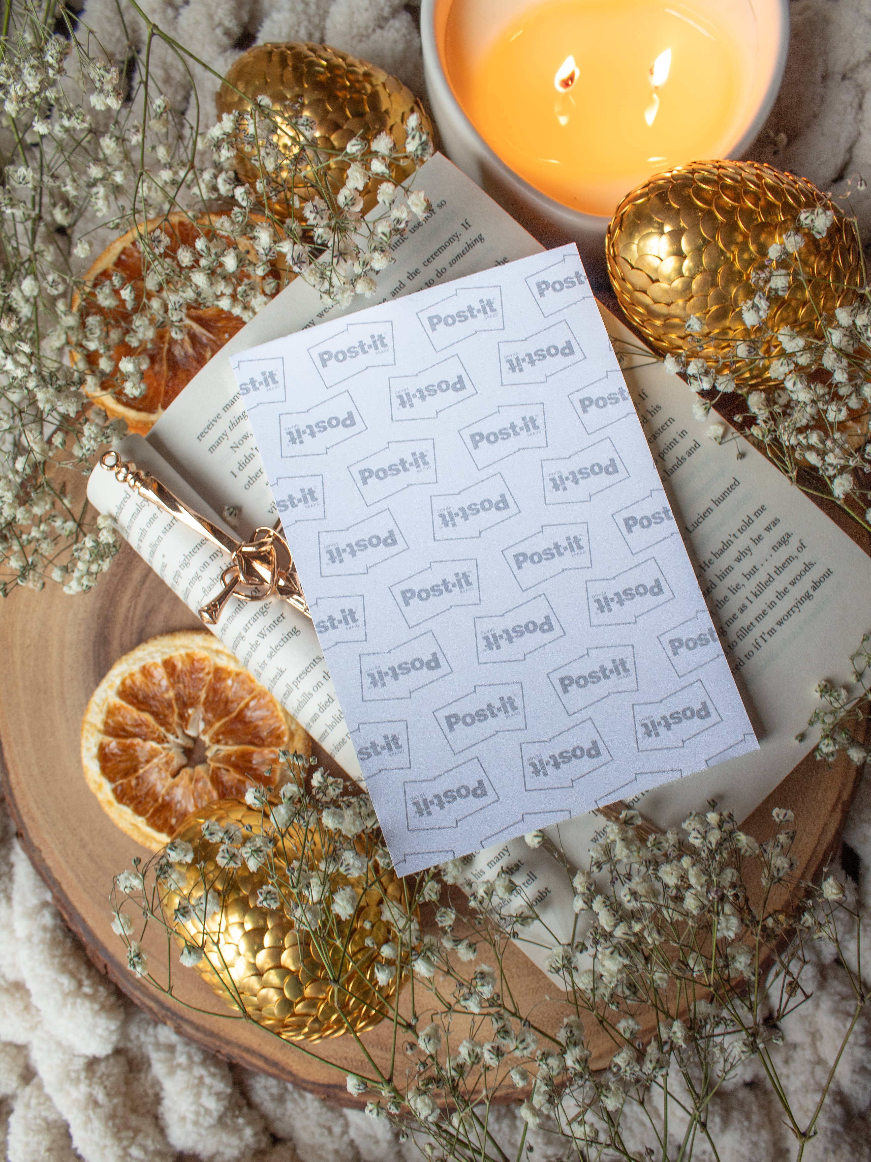 Meaggie Moos - Wholesale Sticky Notes - 4x6 Book Review Post-it Notepad | Apothecary1