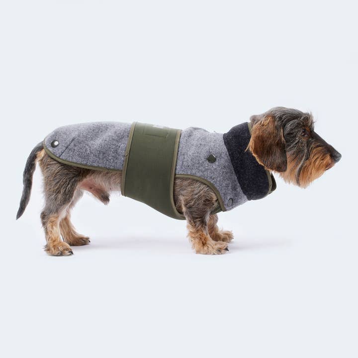 Leopold's Finest for dogs - Wholesale Pet Coat - Dog - Loden coat with removable fleece for dachshunds and small dogs1