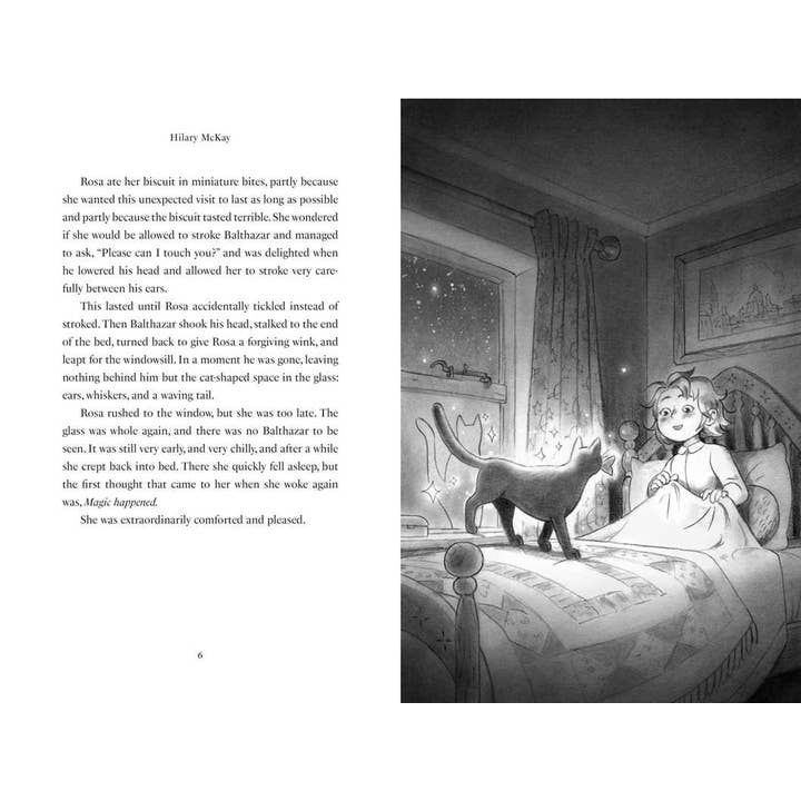 Simon & Schuster - Wholesale Early Reader Book (6-8) - Rosa by Starlight by Hilary McKay2