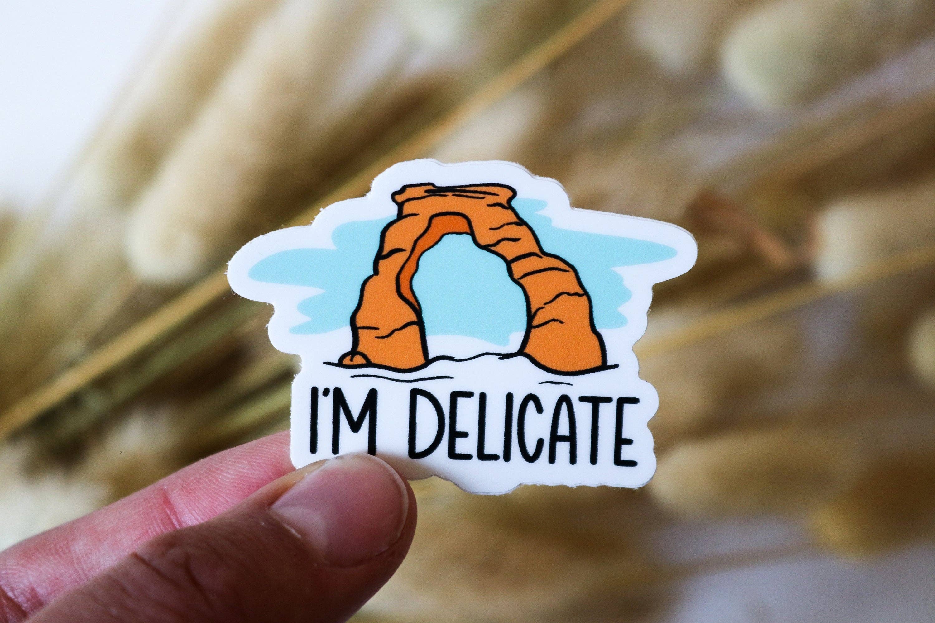 Riley Funk Designs - Wholesale Sticker - I'm Delicate Sticker | Arches National Park Sticker1