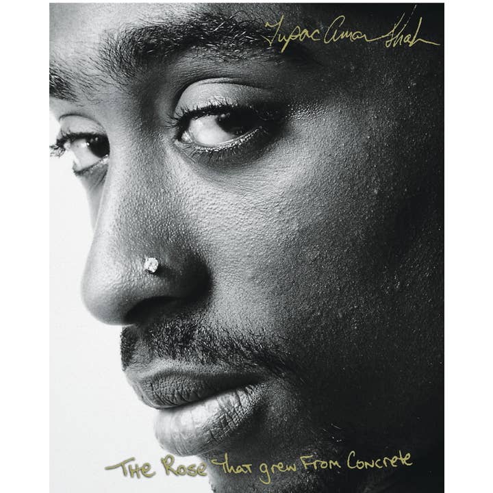 Simon & Schuster - Wholesale Poetry & Drama - Rose That Grew From Concrete by Tupac Shakur