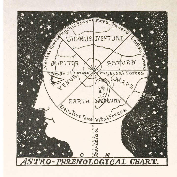 Vintage astrology head chart | Astro-phrenology art | Retro human head illustration | Giclée fine art print | Fun, Eco-friendly gift for wholesale by Rock Paper Scissors Wall Art