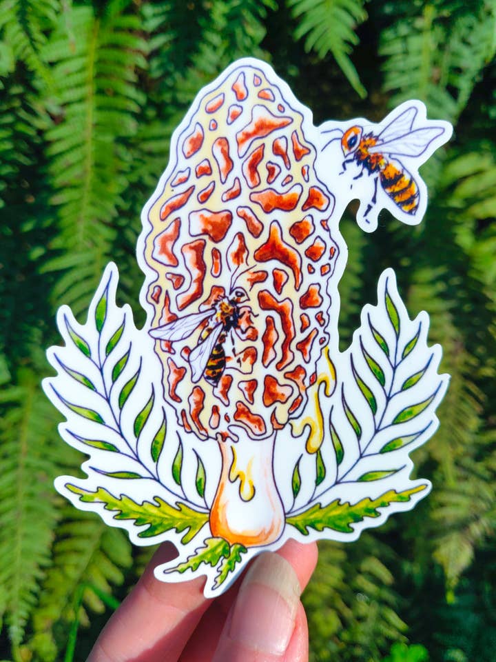 Honey Morel - Vinyl Sticker Art - Bee Honeycomb Mushroom Foraging PNW Forest Nature Watercolor for wholesale by Crafted from Scratch