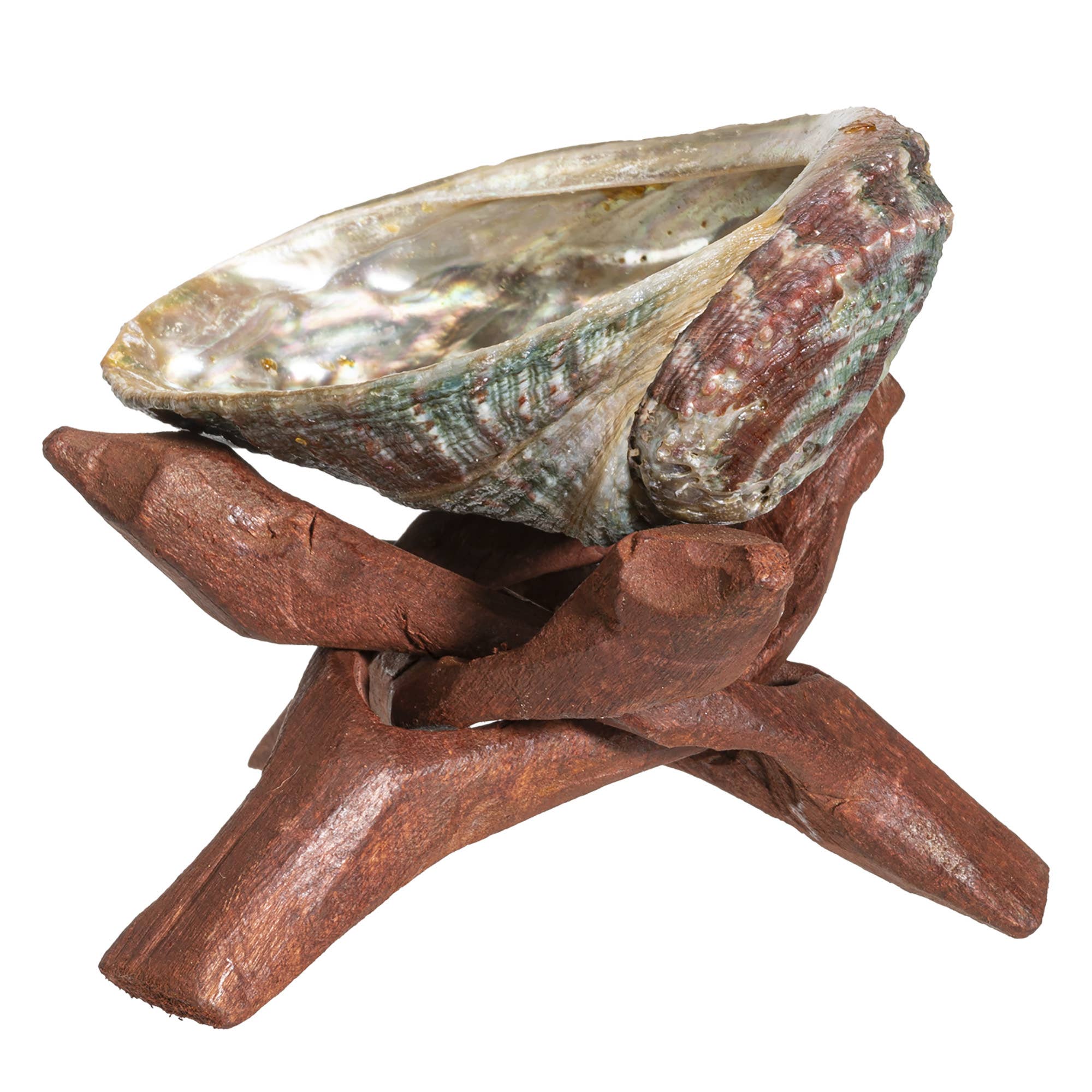 Pacific Trading - Wholesale Smudge Plate - Abalone Smudge Shell With Tripod Stand 4"4