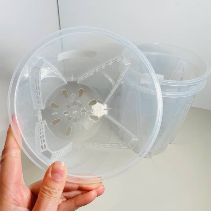 Coco and Palm Trees - Vente Pot - Pot de pépinière transparent de 7 po