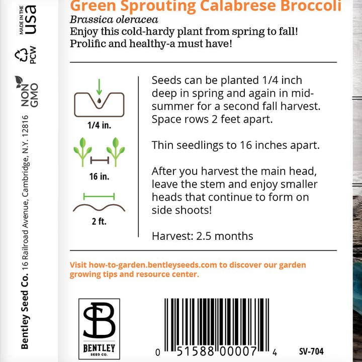 Bentley Seed Co. - Wholesale Plant Seeds - Broccoli, Green Sprouting Seed Packets1