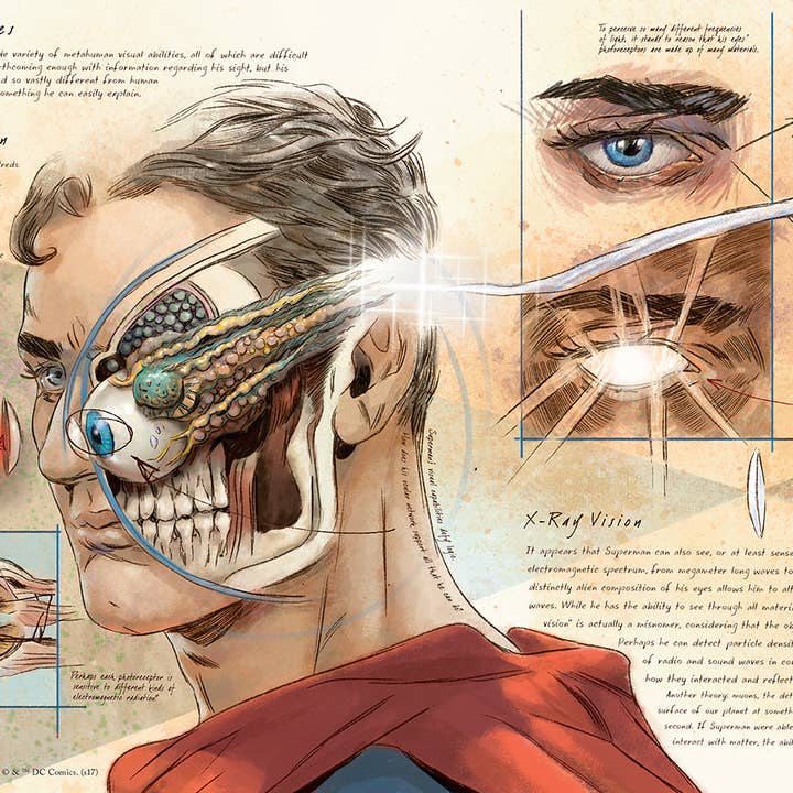 Insight Editions - Wholesale Book - Adult - DC Comics: Anatomy of a Metahuman