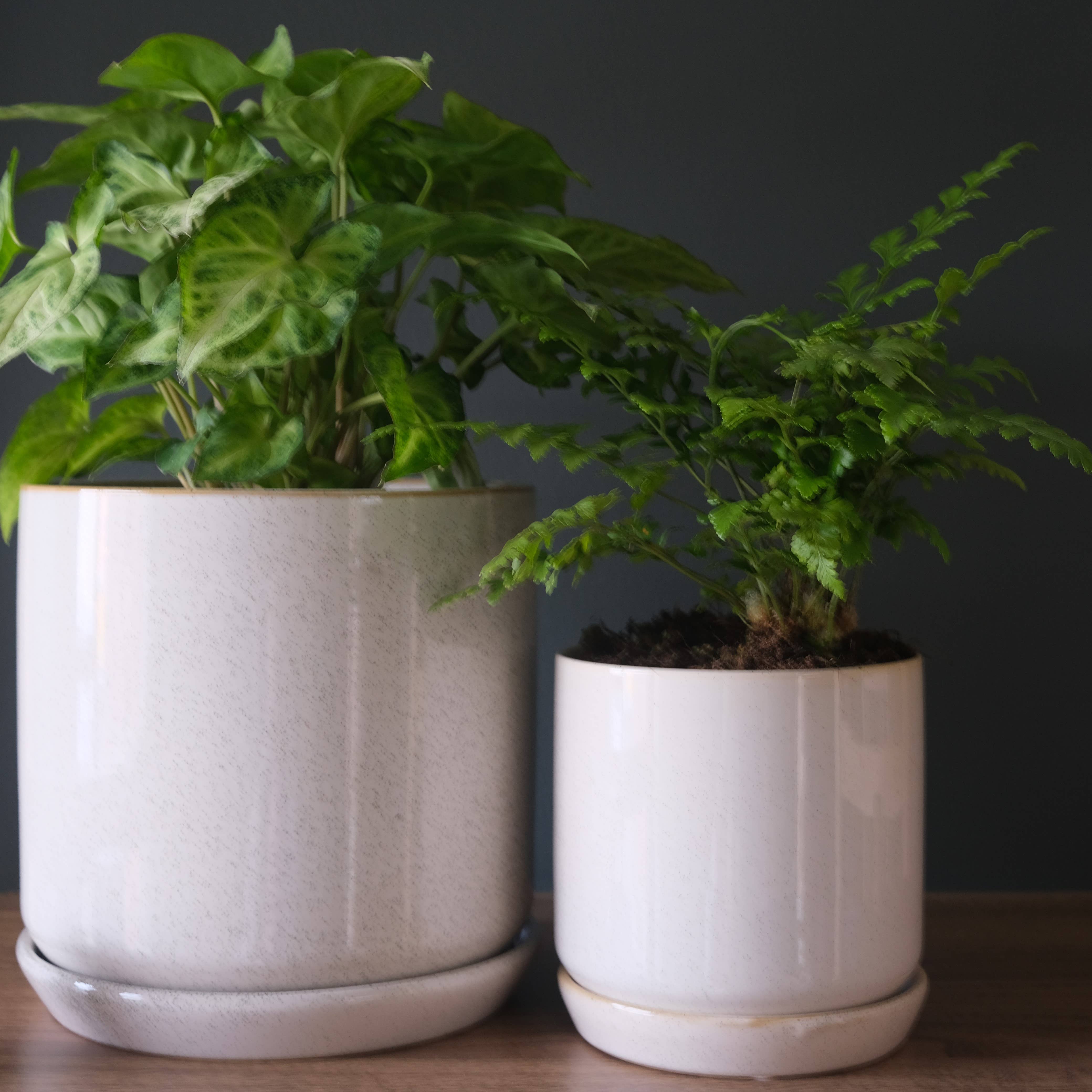 Potted - Wholesale Plant pot - Medium Oslo Planter Sandstorm2