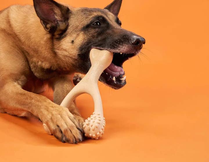 Pet Palette Distribution - Wholesale Pet Chew Toy - Dog - BetterBone Hard Beef Dog Chew Toy Small