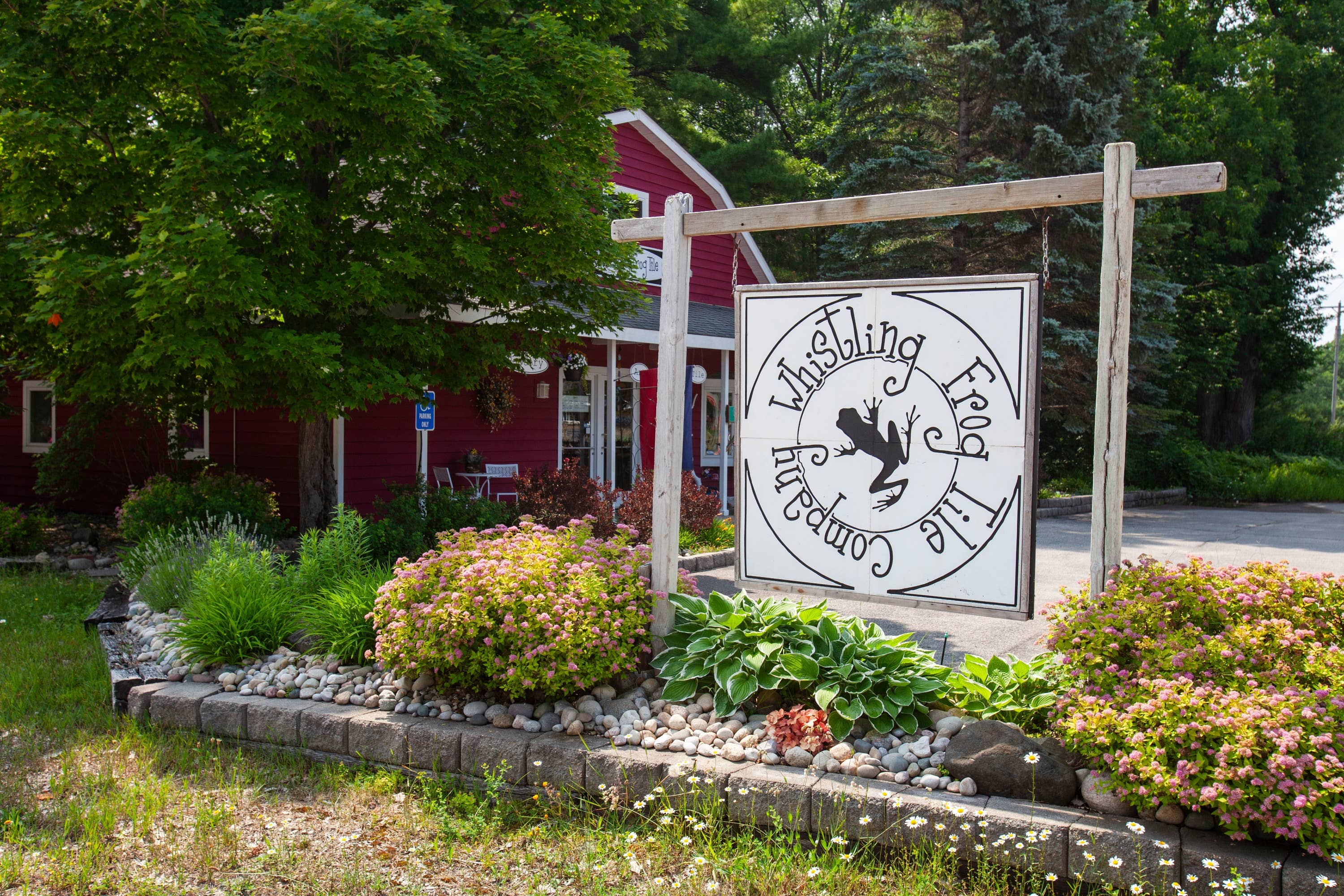 Whistling Frog Tile Inc. - Vente Carrelages muraux - Carreau d'art en céramique fait main avec motif de bouleau pour cuisine, décoration murale3