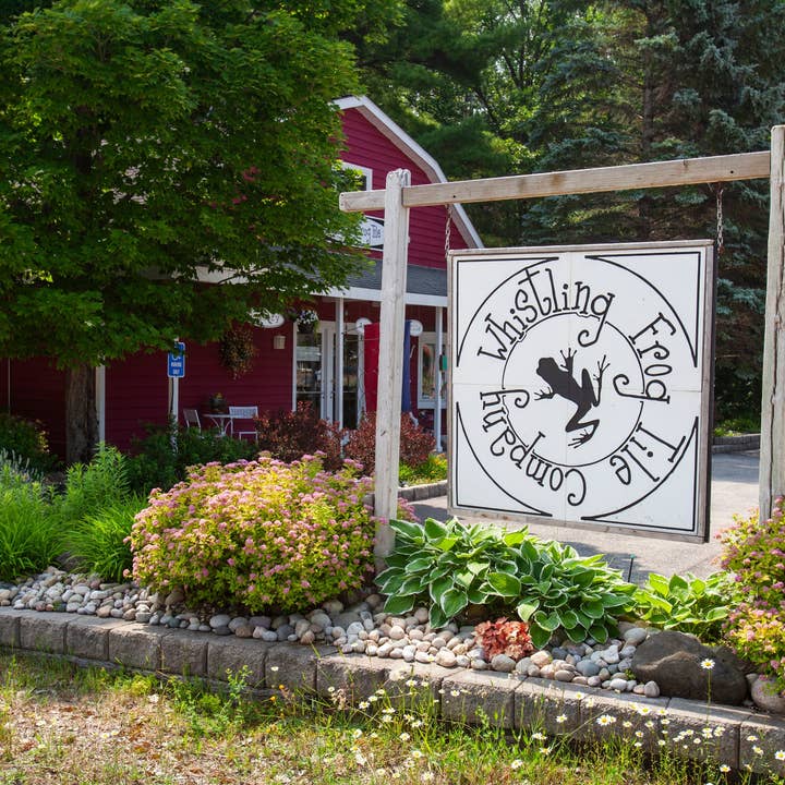 Whistling Frog Tile Inc. - Vente Carrelages muraux - Carreau d'art en céramique fait main avec motif de bouleau pour cuisine, décoration murale3