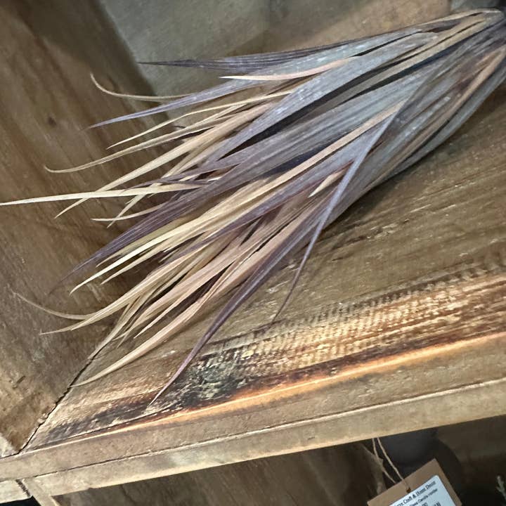 Buckeye Craft Co. - Wholesale Dried/Pressed Flowers - Eggplant Fall Grass Bush1