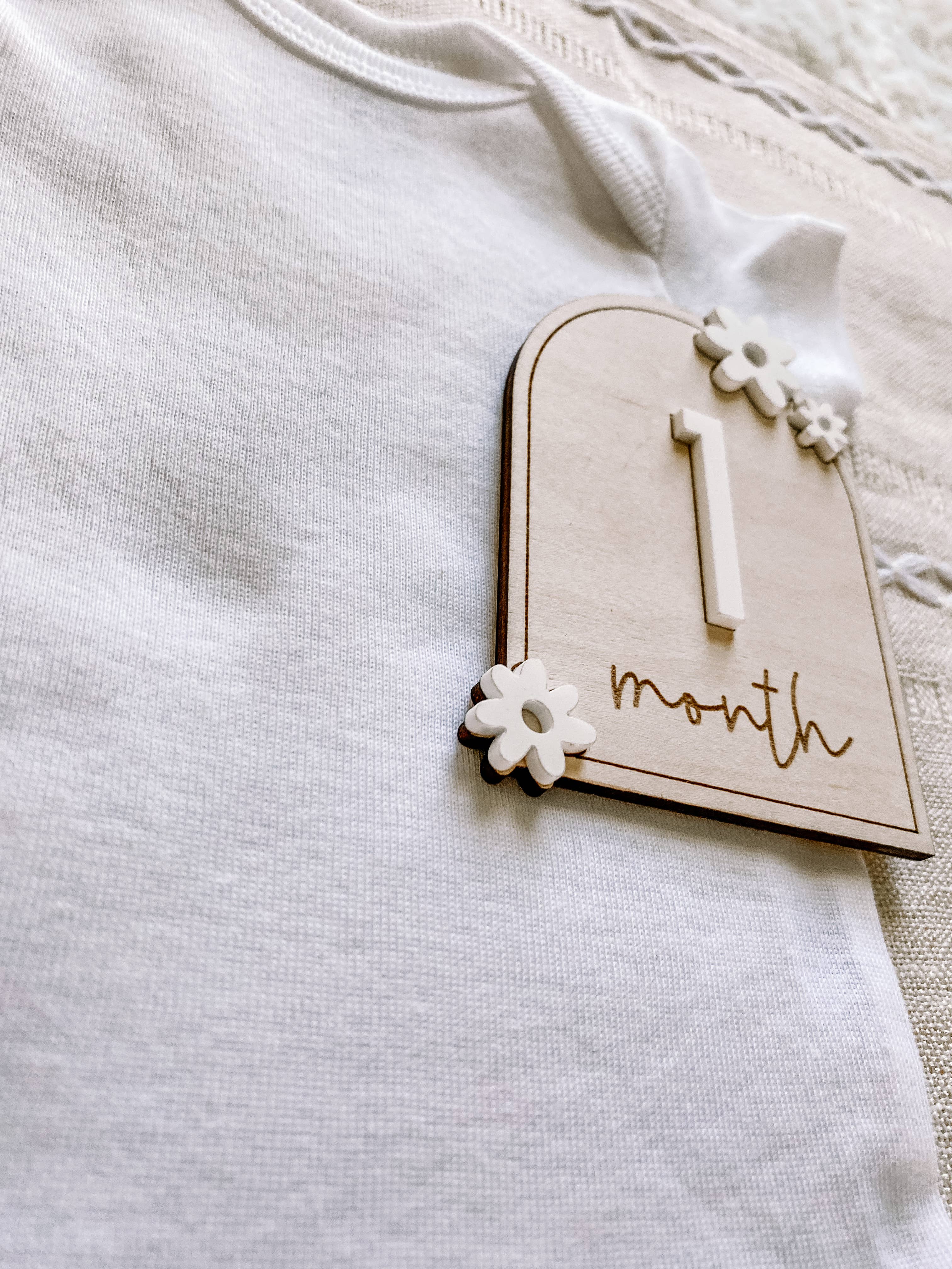 Claire and Bella - Wholesale Milestone Art/Keepsake - Kids & Baby - Wooden Monthly Milestone Set - Daisy4