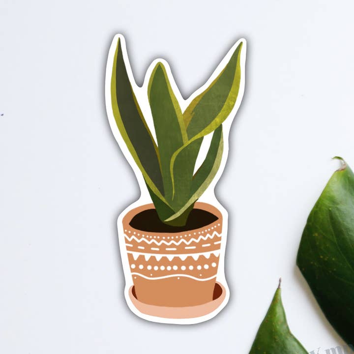 Snake Plant Magnet for wholesale by Shop Katherine Marie