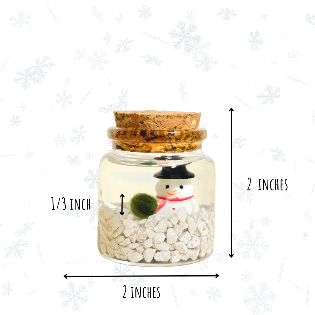 Moss Amigos | Moss Ball Terrariums - Wholesale Live Plant - Holiday Moss Rico4