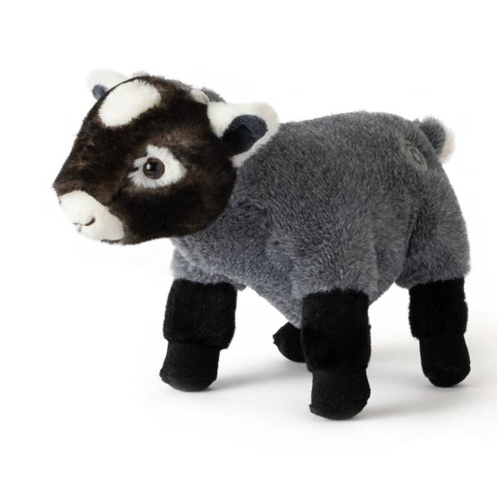 Wild Onez Pygmy Goat Medium 12" (30cm) for wholesale by The Petting Zoo