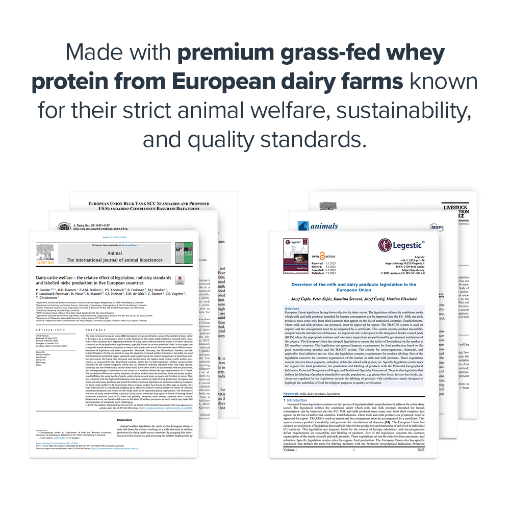 Legion Athletics, Inc. - Wholesale Proteïne/superfoodpoeder - Clear Whey Proteïne Isolaat2