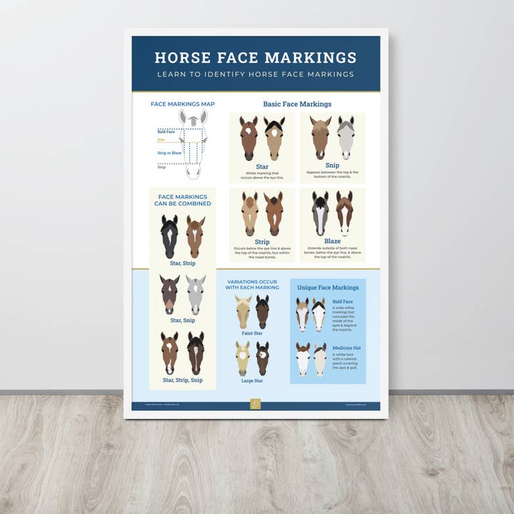 The Pony Island - Wholesale Poster - Horse Face Markings Framed Poster