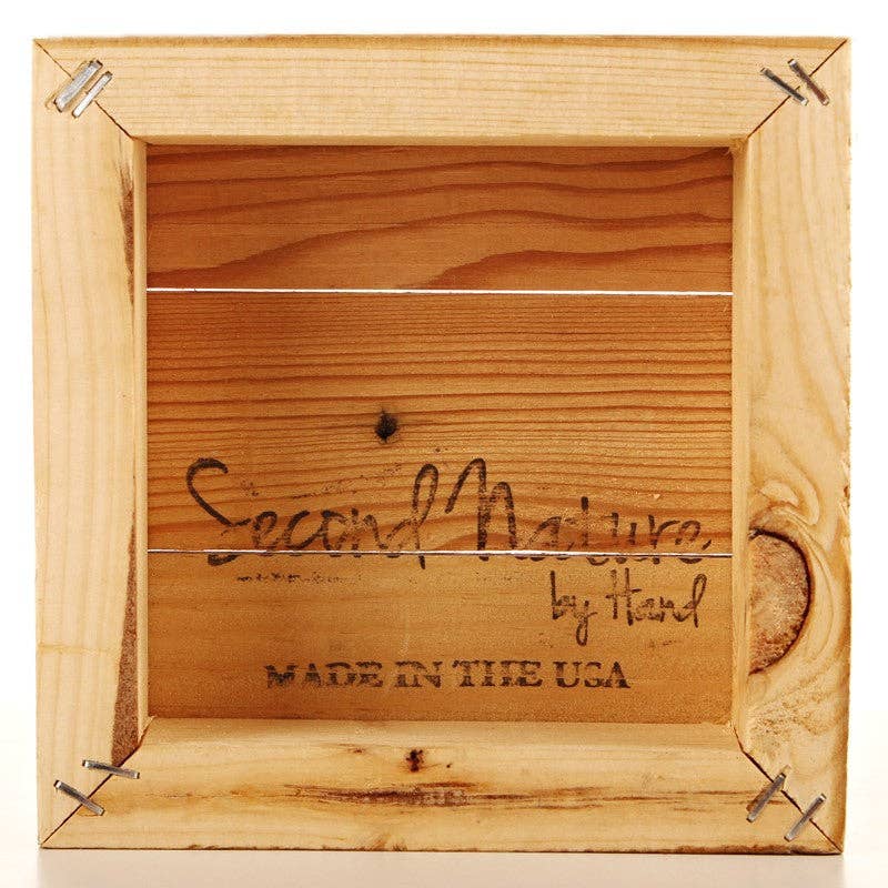 Second Nature by Hand - Wholesale Sign - The world is a much better place with you in it. / 6"x6" Reclaimed Wood Sign1