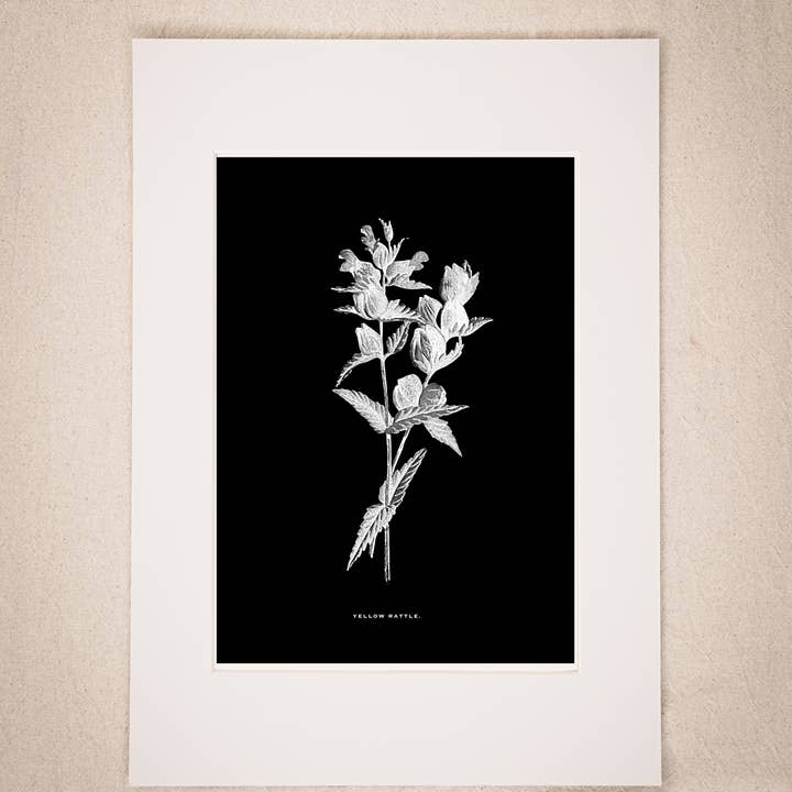 Coultura - Wholesale Gallery Wall Set - Framed Gallery Wall Set – Vintage Butterfly Botanical Art Prints (Set of 6, Black Noir Frame)9