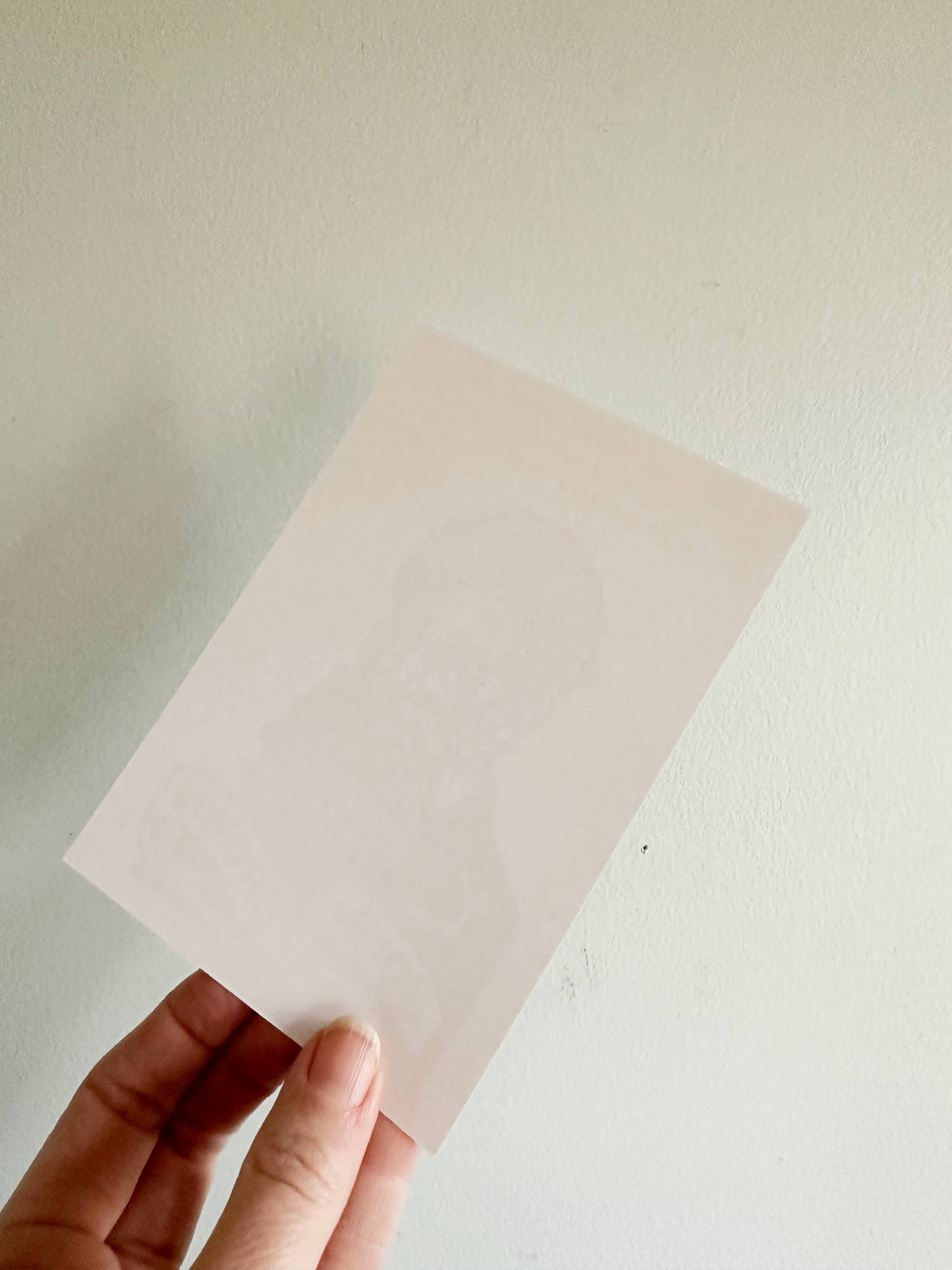 Horse & Hare - Wholesale Postcard - John Brown Postcard2